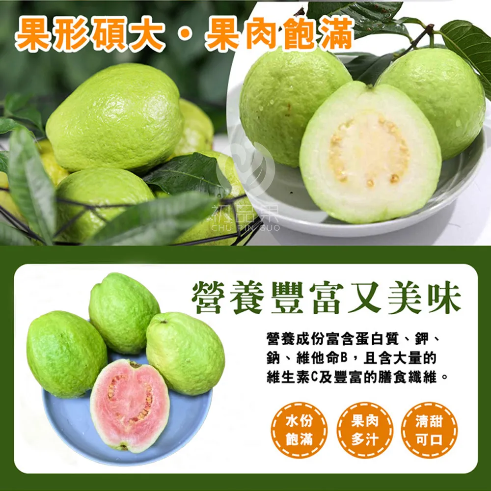 產地直送-拉拉山雙色蜜芭樂禮盒5斤6-10顆