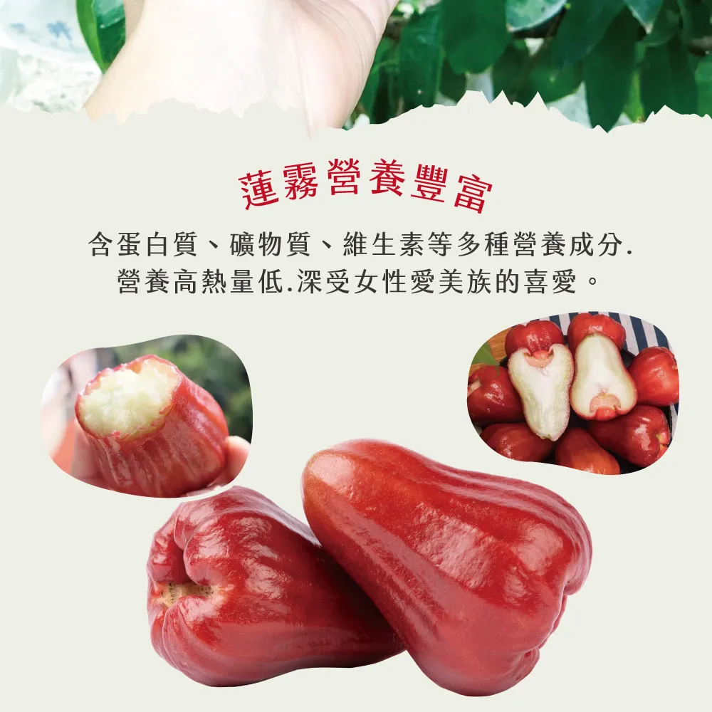 屏東枋寮黑珍珠蓮霧禮盒 3斤/4斤