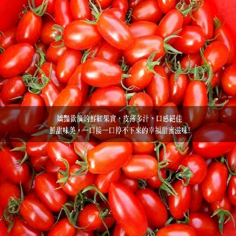 產地直送皮薄多汁玉女小番茄禮盒4斤   1盒/2盒/4盒/6盒   