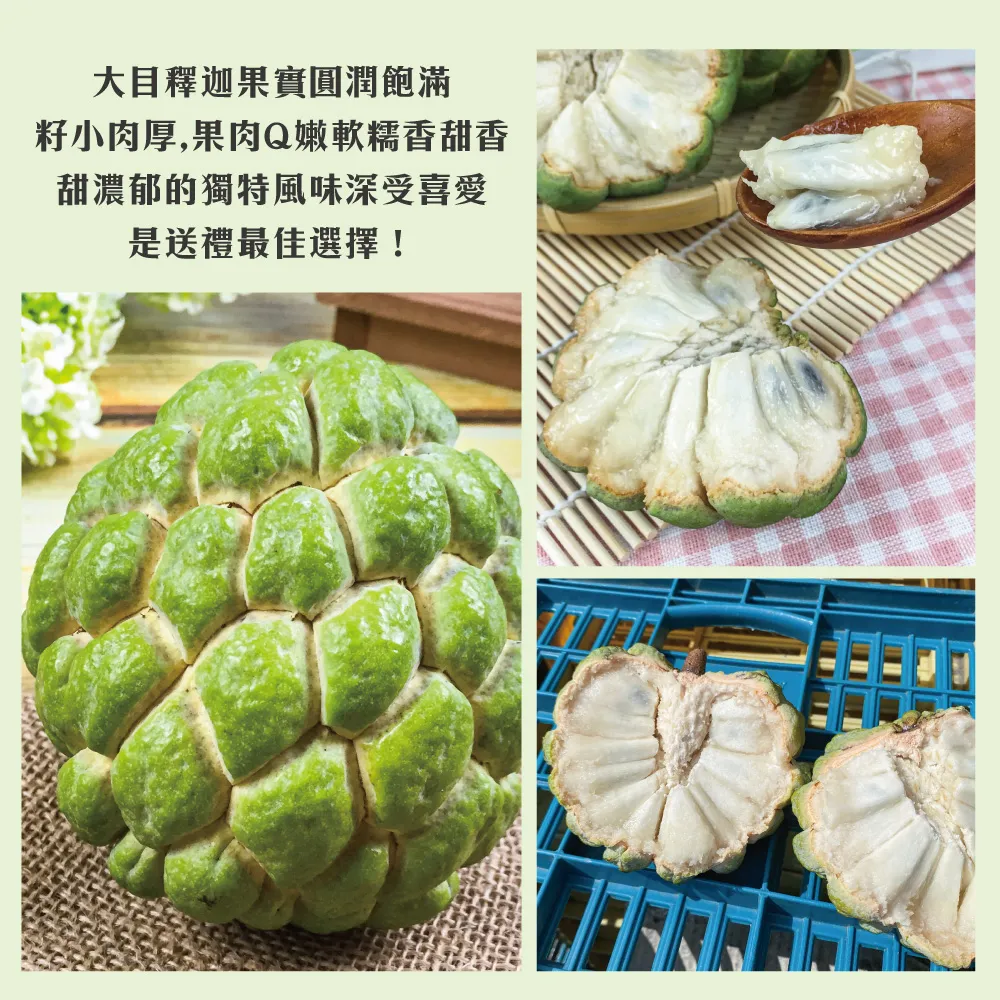 產地直送台東知本大目釋迦禮盒 5斤/10斤 