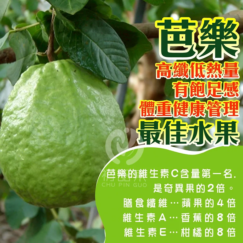 彰化溪州珍珠芭樂禮盒5斤6-10顆(冷藏配送)