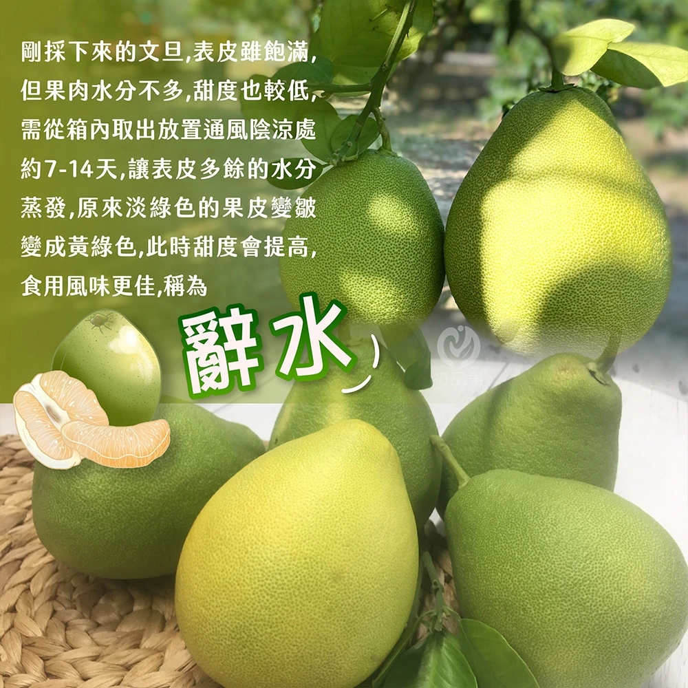 台南麻豆老欉文旦禮盒 10斤 大果7-9顆 / 小果10-18顆 1箱/2箱 8/5開始陸續出貨 歡迎企業大量訂購