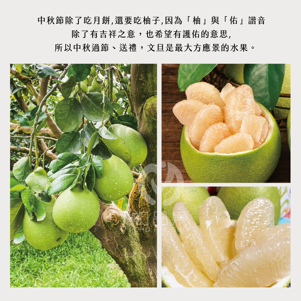 花蓮鶴岡老欉精品文旦禮盒  【歡迎企業大量訂購】