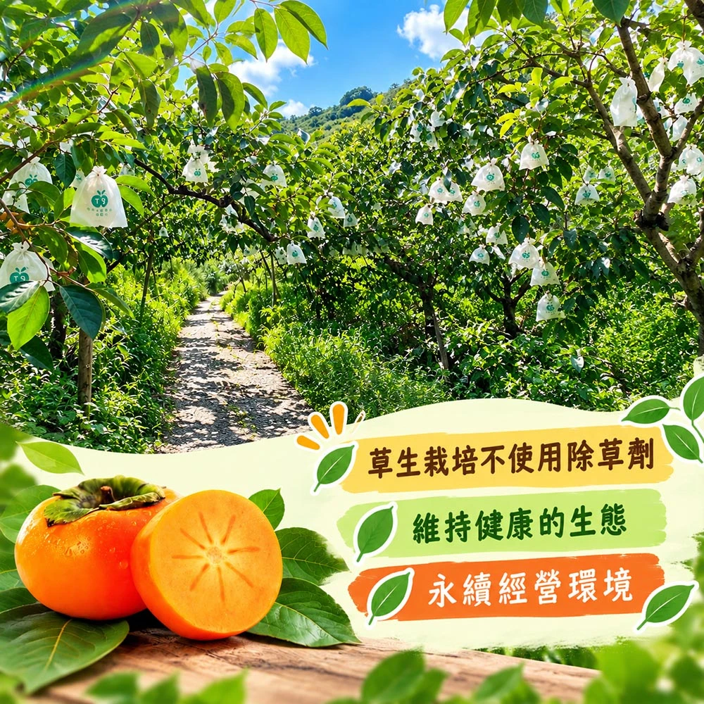達觀部落御用甜柿禮盒  5A 6A 7A 8A 9A  1盒/2盒