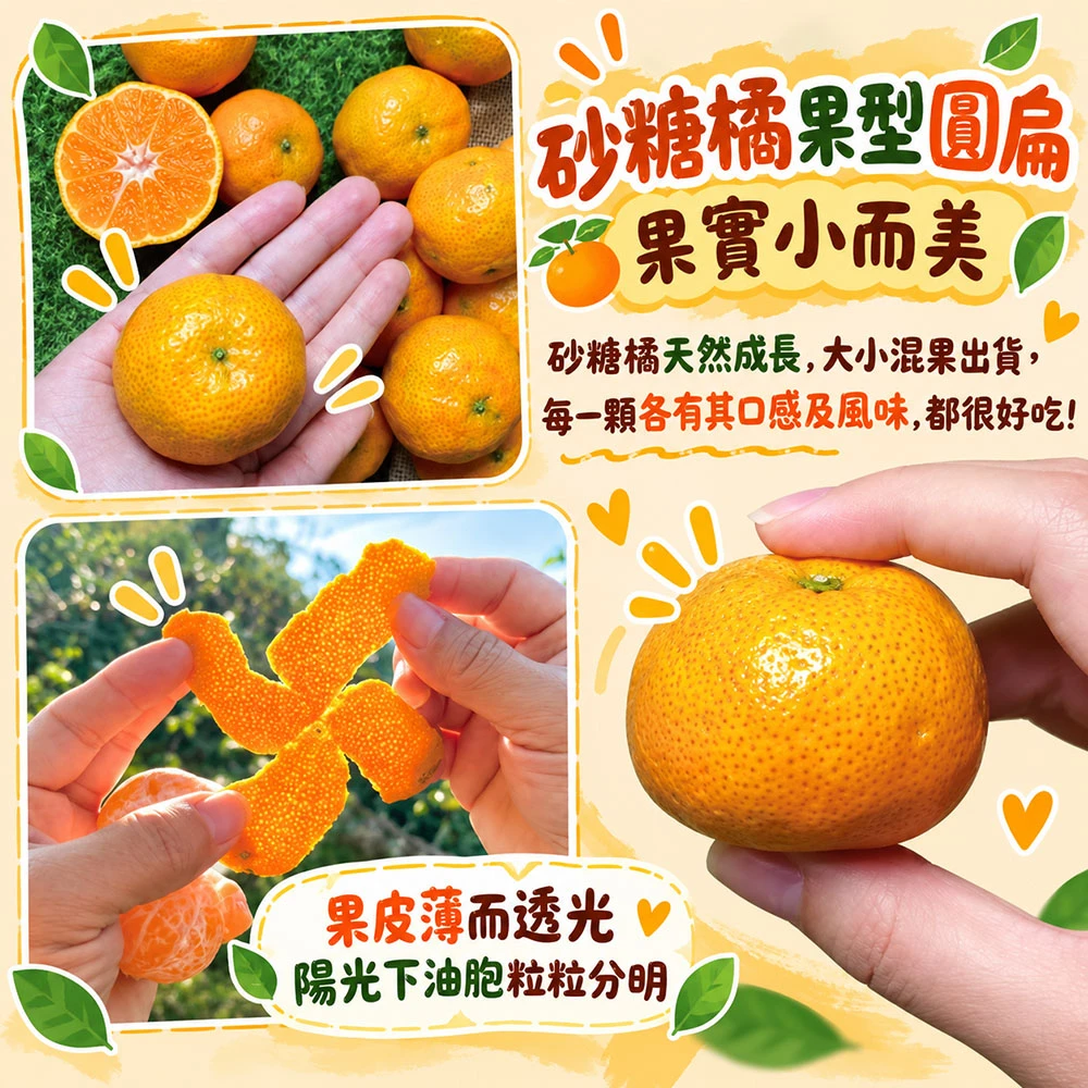拉拉山砂糖橘禮盒3斤 1盒/2盒/4盒/8盒