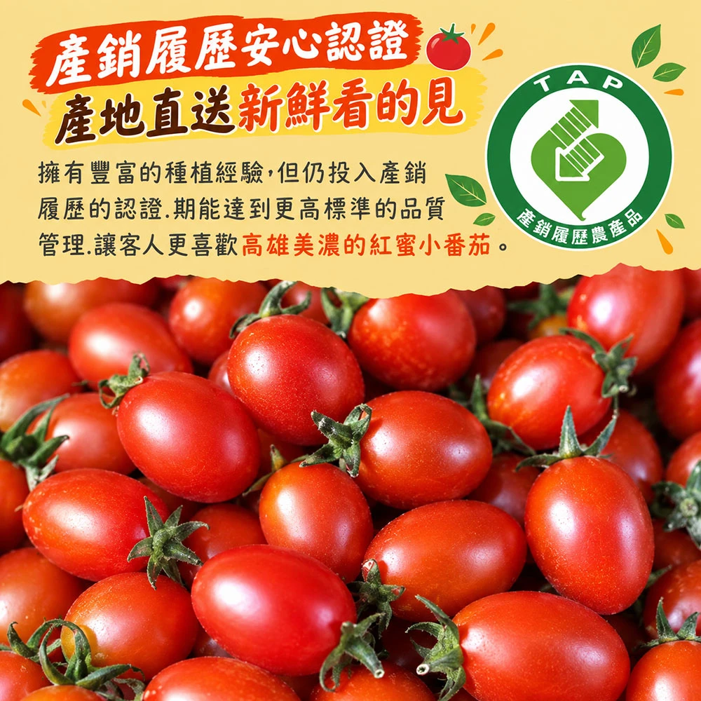 高雄美濃紅蜜小番茄禮盒3斤 1盒/2盒/4盒/8盒