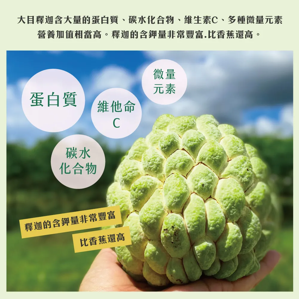 產地直送台東知本大目釋迦禮盒 5斤/10斤 