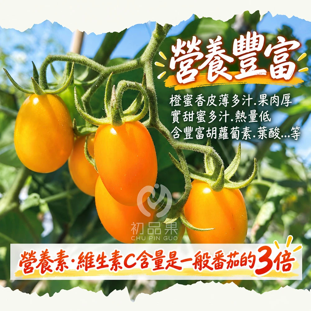 高雄美濃橙蜜香小番茄禮盒3斤 1盒/2盒/4盒/8盒