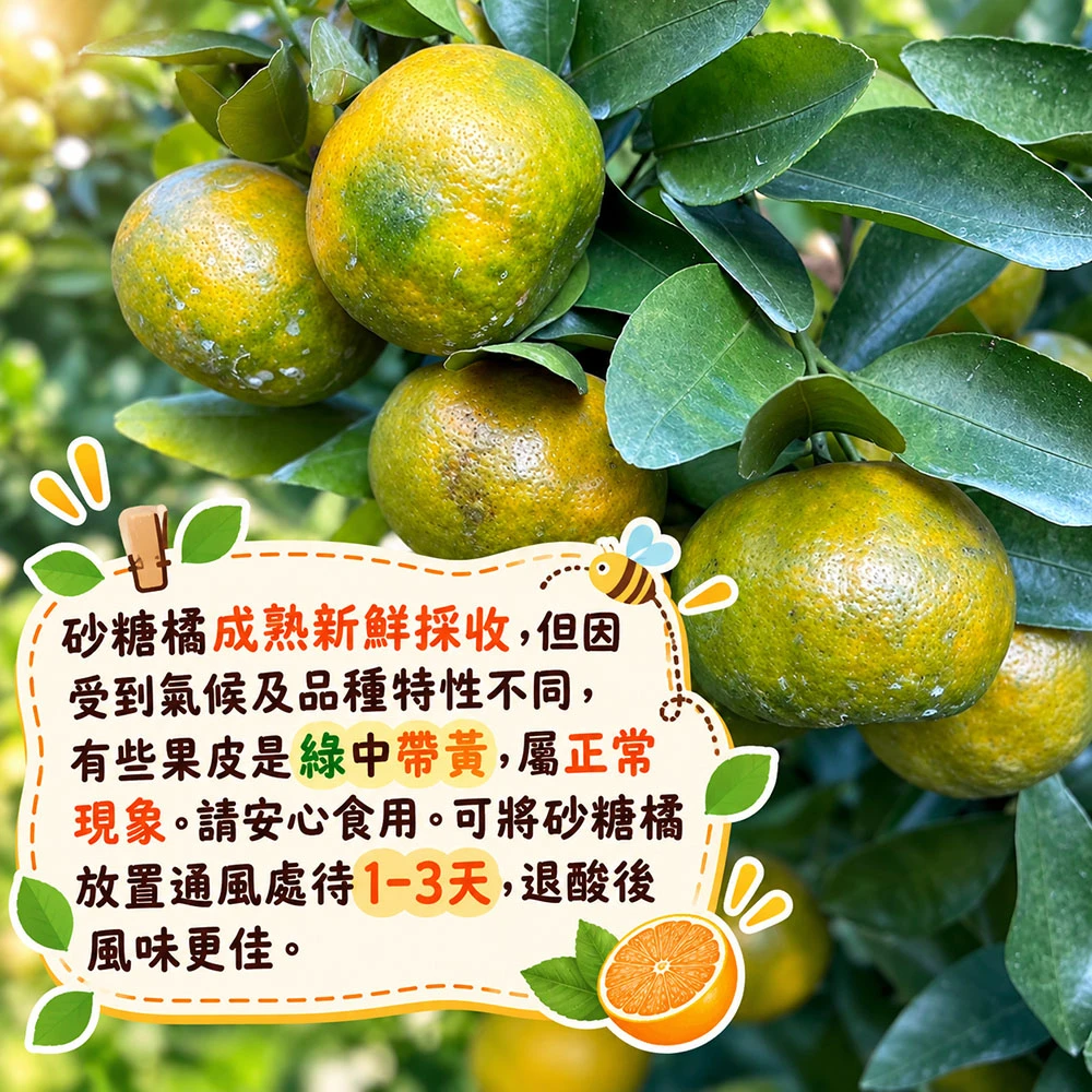 拉拉山砂糖橘禮盒3斤 1盒/2盒/4盒/8盒