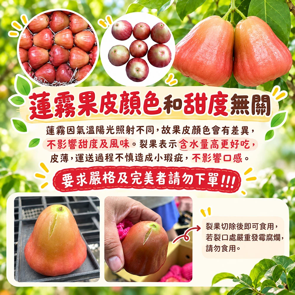 屏東枋寮黑珍珠蓮霧禮盒 3斤/4斤  1盒/2盒/3盒/4盒