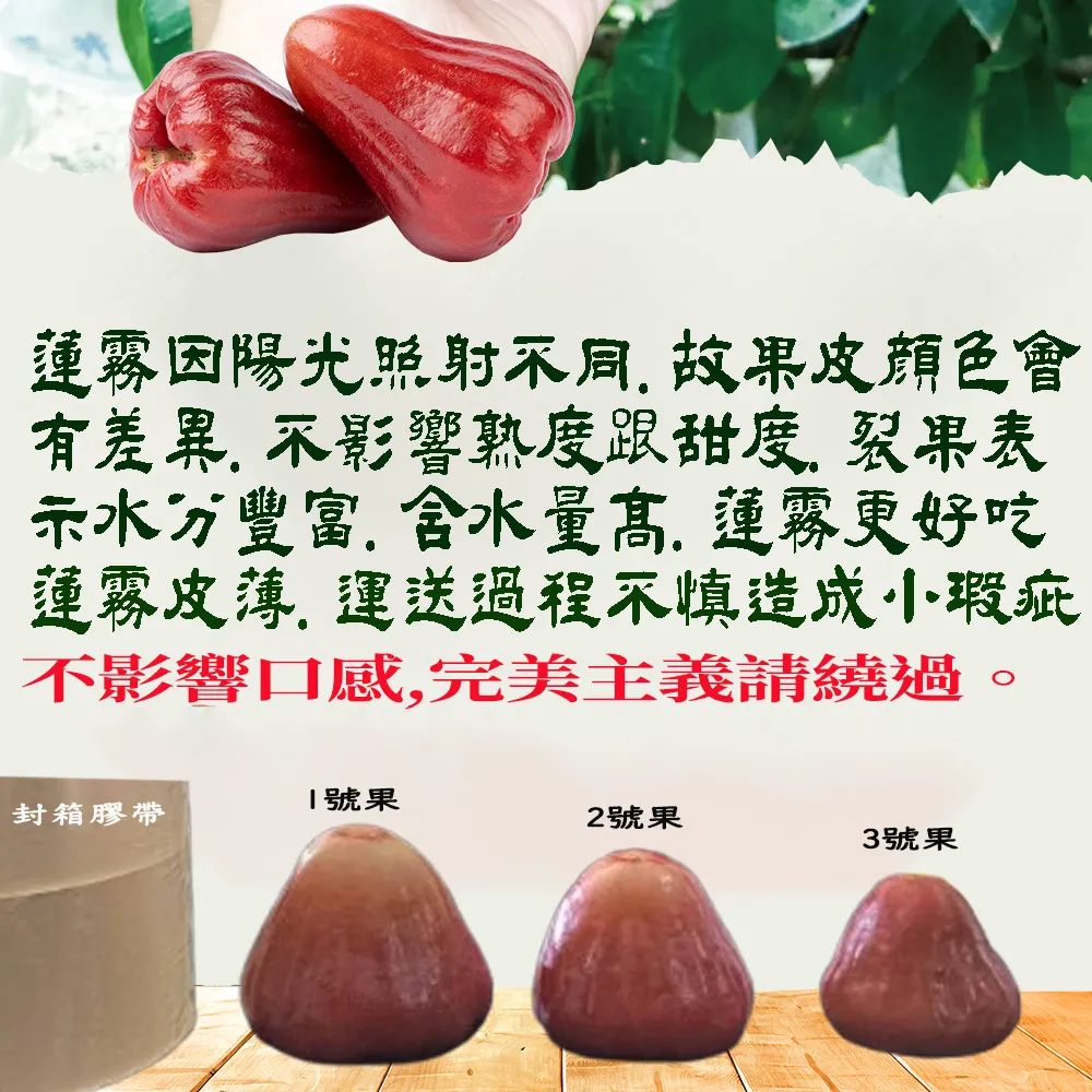 屏東枋寮黑珍珠蓮霧禮盒 3斤/4斤