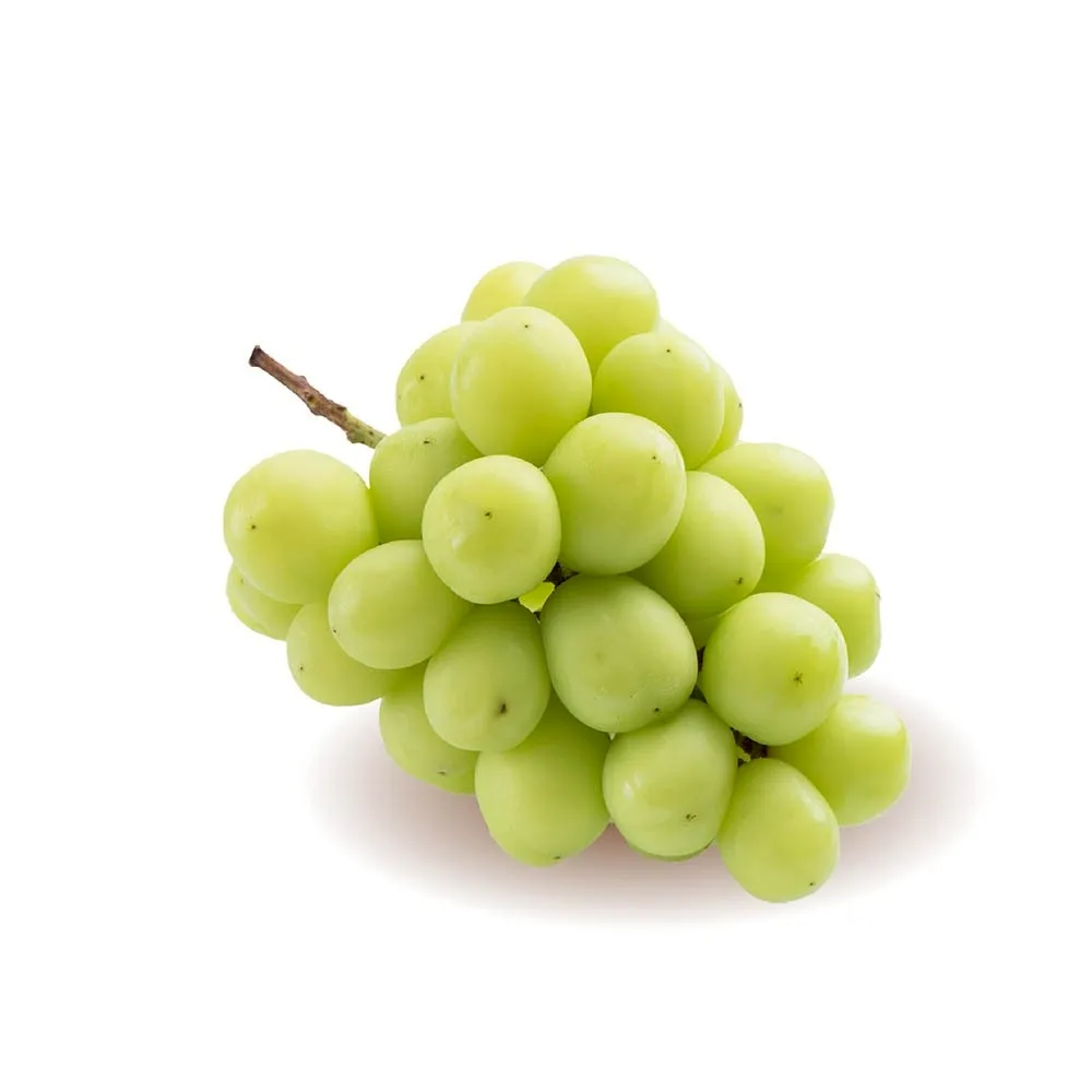 韓國空運進口麝香葡萄