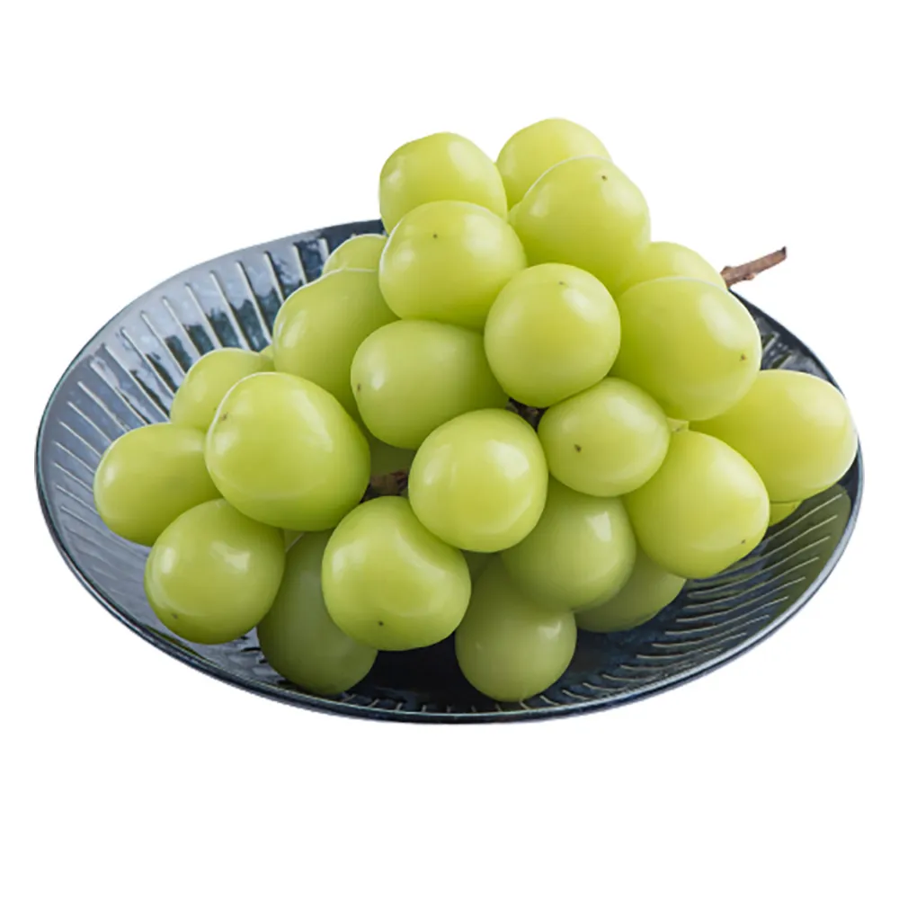 韓國空運進口麝香葡萄 -限時搶購特價中_冷藏配送