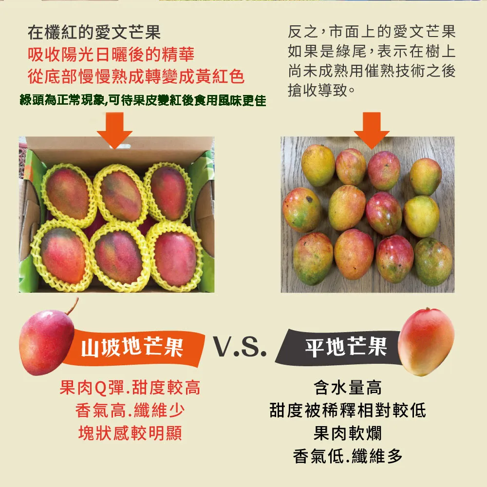 枋山阿憲愛文芒果禮盒 10斤-即日起開始預購4/30-5/10出貨