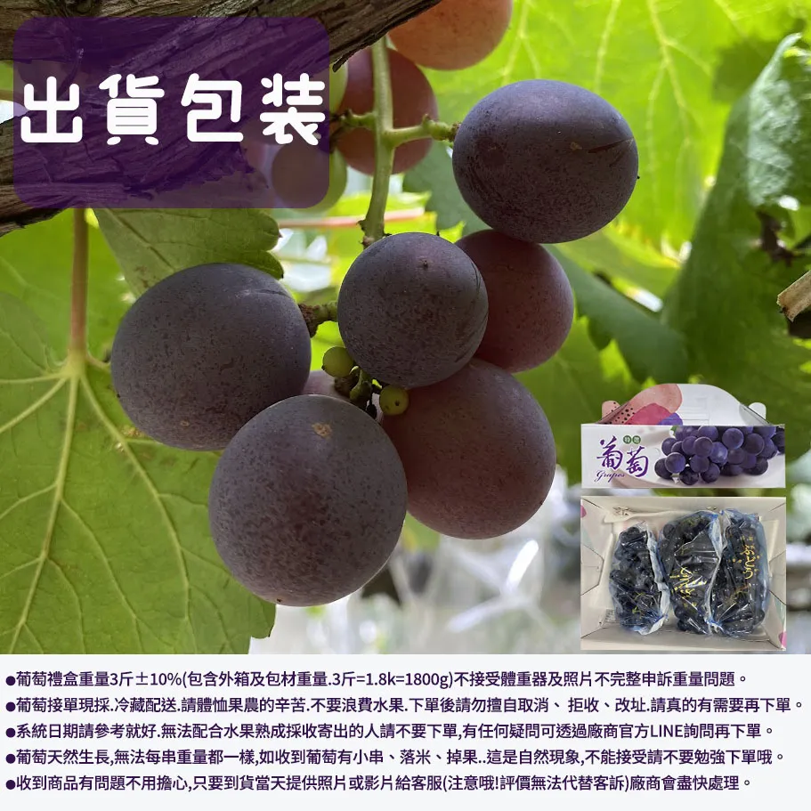 (冷藏)【產地直送】彰化溪湖巨峰葡萄禮盒(冷藏配送)