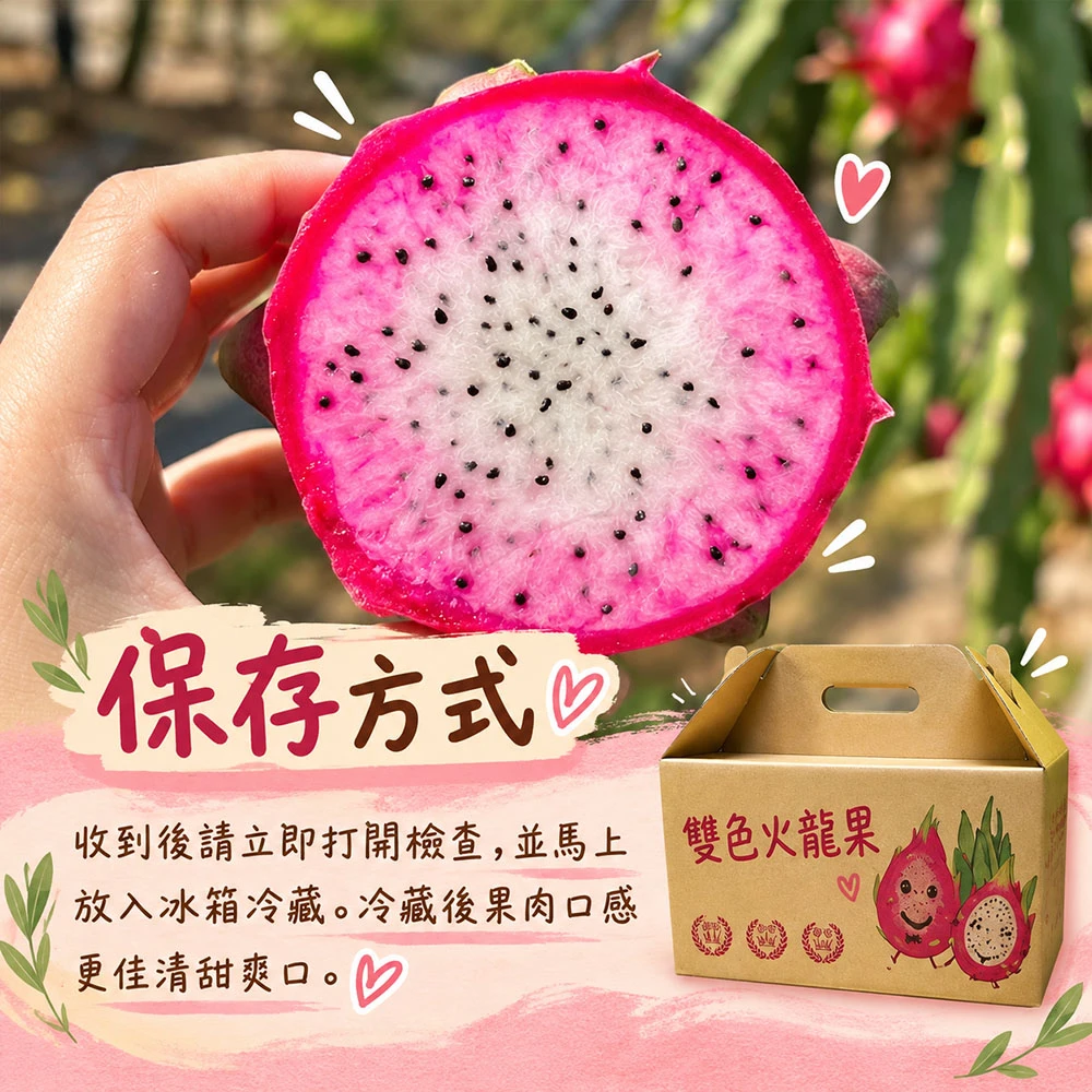 南投夢幻雙色火龍果6斤/10斤  1盒/2盒   預購