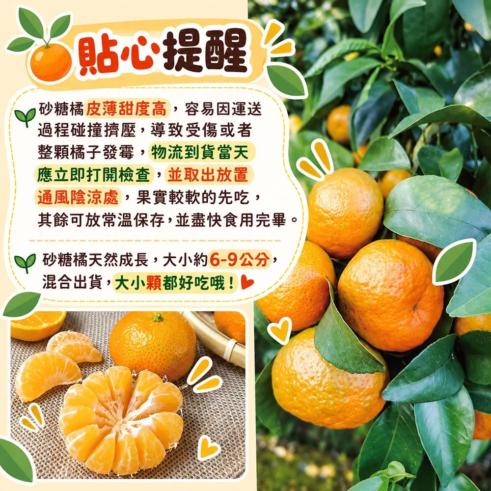 拉拉山砂糖橘禮盒3斤 1盒/2盒/4盒/8盒