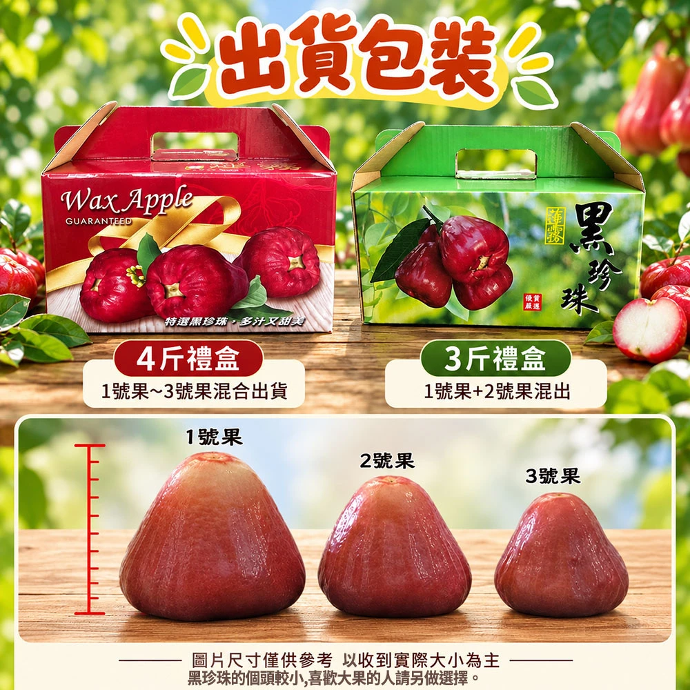 屏東枋寮黑珍珠蓮霧禮盒 3斤/4斤  1盒/2盒/3盒/4盒