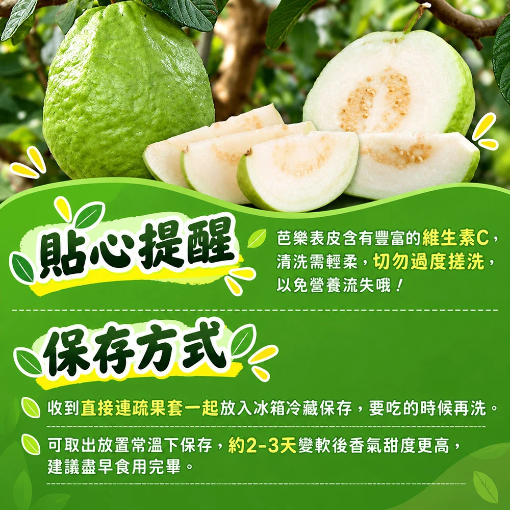 彰化溪州珍珠芭樂禮盒5斤6-10顆