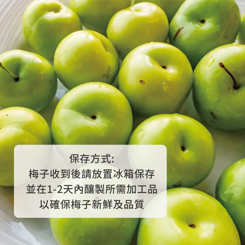 台南梅嶺鮮採青梅/黃梅 10斤/20斤 (依現況採收/冷藏配送)