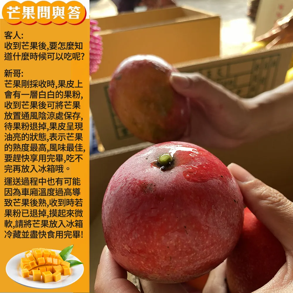 與獼猴和平共存的芒果【猴仔抓芒果】屏東枋山愛文芒果禮盒 4斤/8斤 (即日起開始預購4/30-5/10出貨)