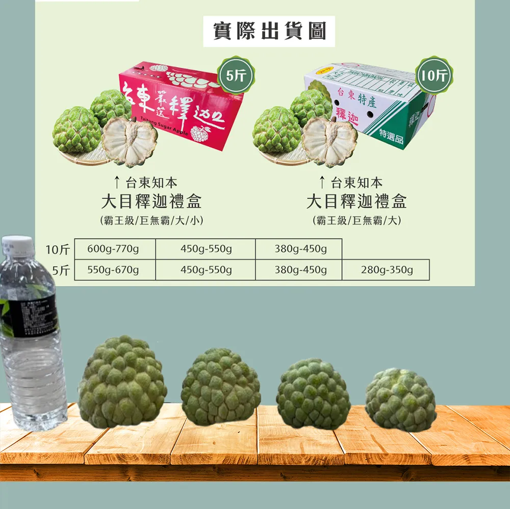 產地直送台東知本大目釋迦禮盒 5斤/10斤 