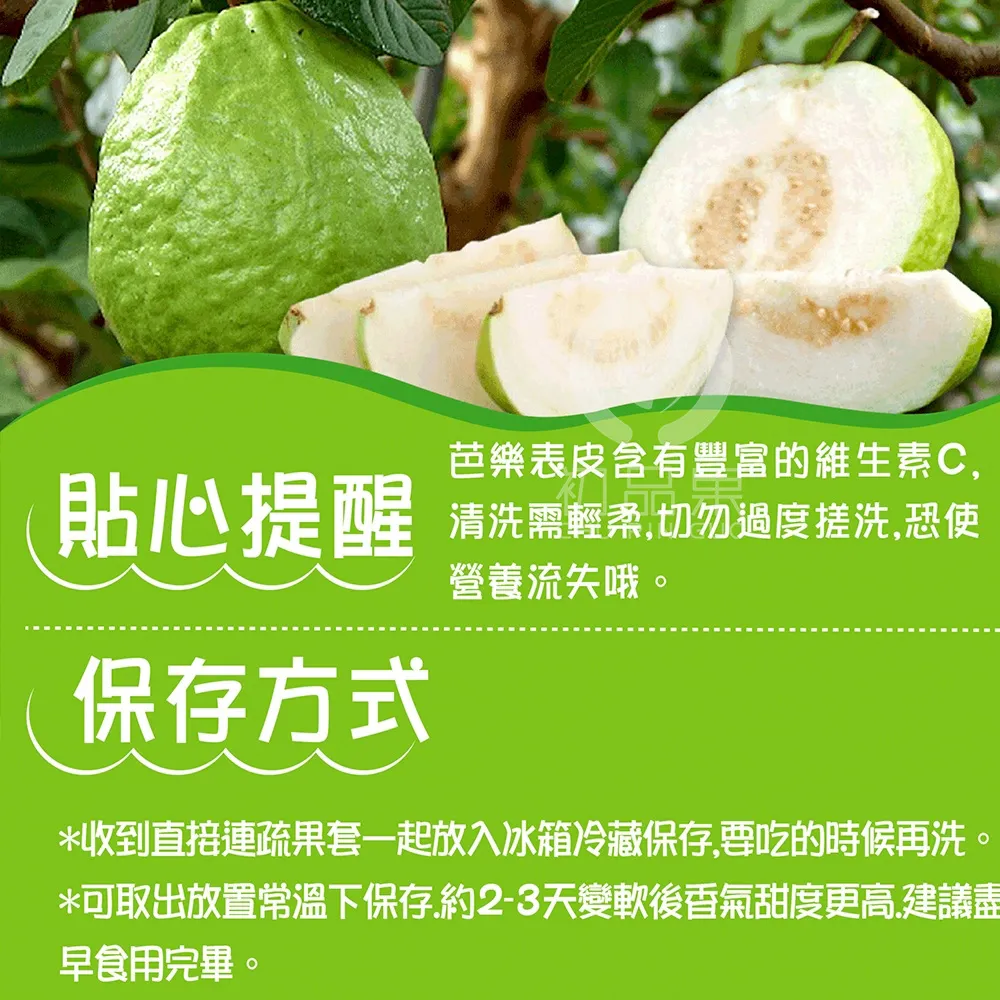 彰化溪州珍珠芭樂禮盒5斤6-10顆(冷藏配送)