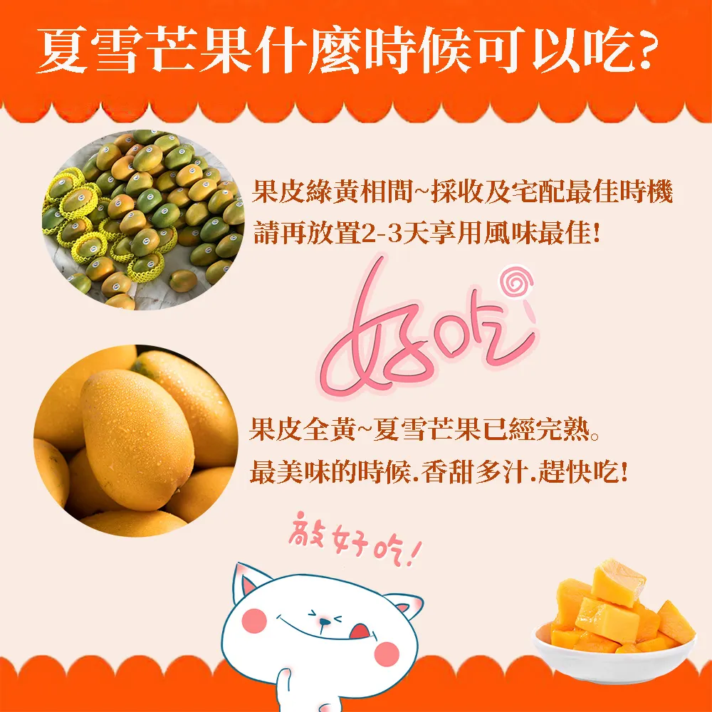 芒果界LV 台東夏雪芒果禮盒4斤4-8顆 6/15開始陸續出貨