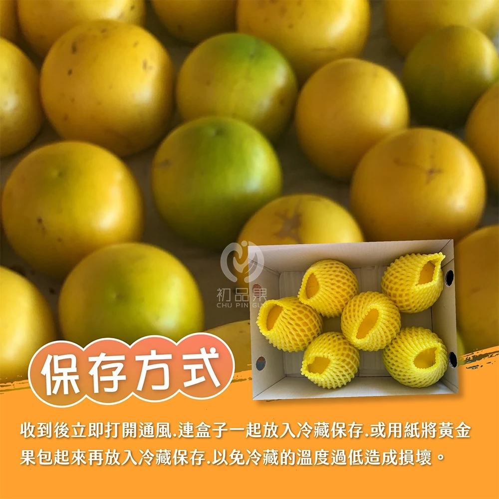 台東知本黃金果禮盒