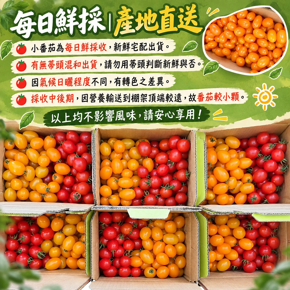 高雄美濃雙色橙蜜小番茄禮盒3斤  1盒/2盒/4盒/8盒