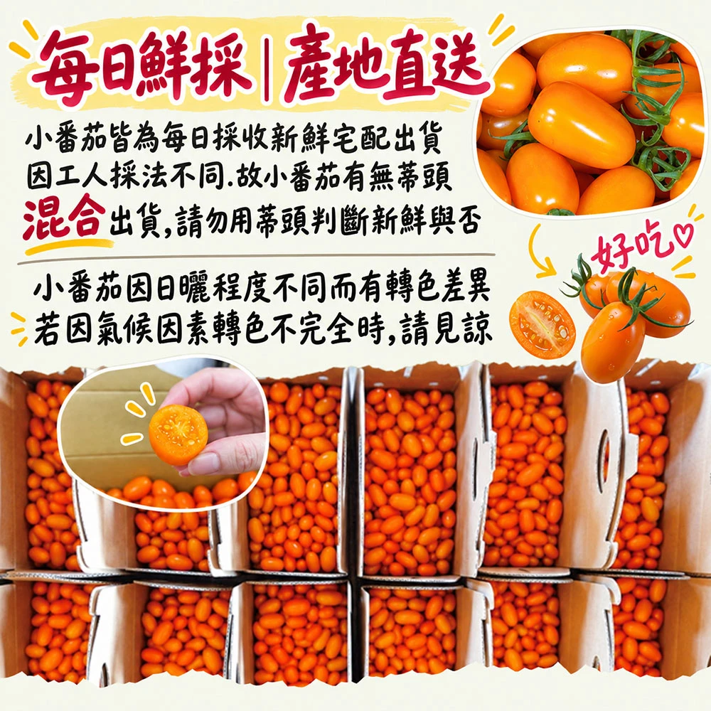 高雄美濃橙蜜香小番茄禮盒3斤 1盒/2盒/4盒/8盒