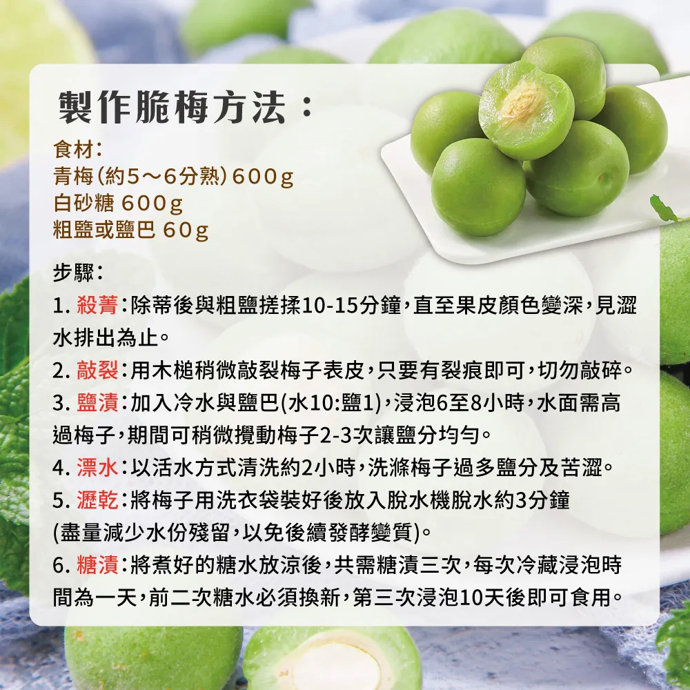 製作脆梅方法食材:青梅(約5~6分熟)600g白砂糖 600g或鹽巴 60g步驟:1. 殺菁:除蒂後與粗鹽搓揉10-15分鐘直至果皮顏色變深,見澀水排出為止。2. 敲裂:用木槌稍微敲裂梅子表皮,只要有裂痕即可,切勿敲碎。3. 鹽漬:加入冷水與鹽巴(水10:鹽1),浸泡6至8小時,水面需高過梅子,期間可稍微攪動梅子2-3次讓鹽分均勻。4. 漂水:以活水方式清洗約2小時,洗滌梅子過多鹽分及苦澀。5.瀝乾:將梅子用洗衣袋裝好後放入脫水機脫水約3分鐘(盡量減少水份殘留,以免後續發酵變質)。6.糖漬:將煮好的糖水放涼後,共需糖漬三次,每次冷藏浸泡時間為一天,前二次糖水必須換新,第三次浸泡10天後即可食用。