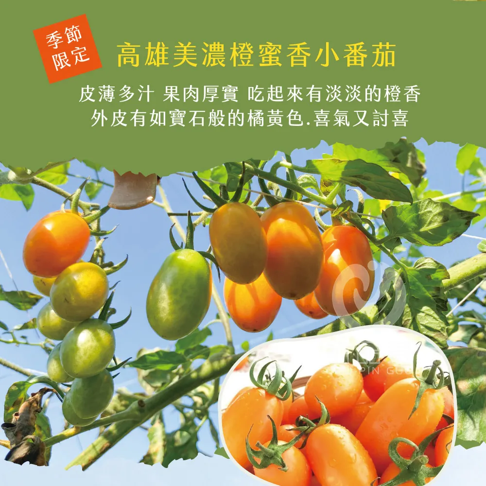 季節限定高雄美濃橙蜜香小番茄皮薄多汁 果肉 吃起來有淡淡的橙香外皮有如寶石般的橘黃色.喜氣又討喜