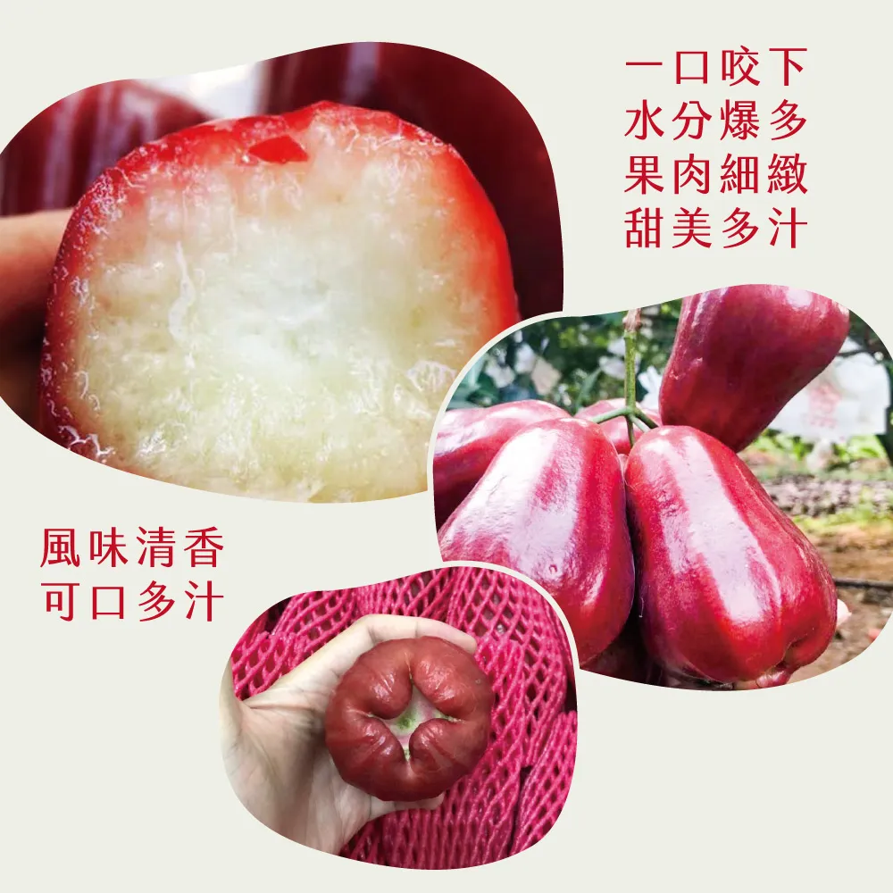 風味清香可口多汁一口咬下水分爆多果肉細緻甜美多汁