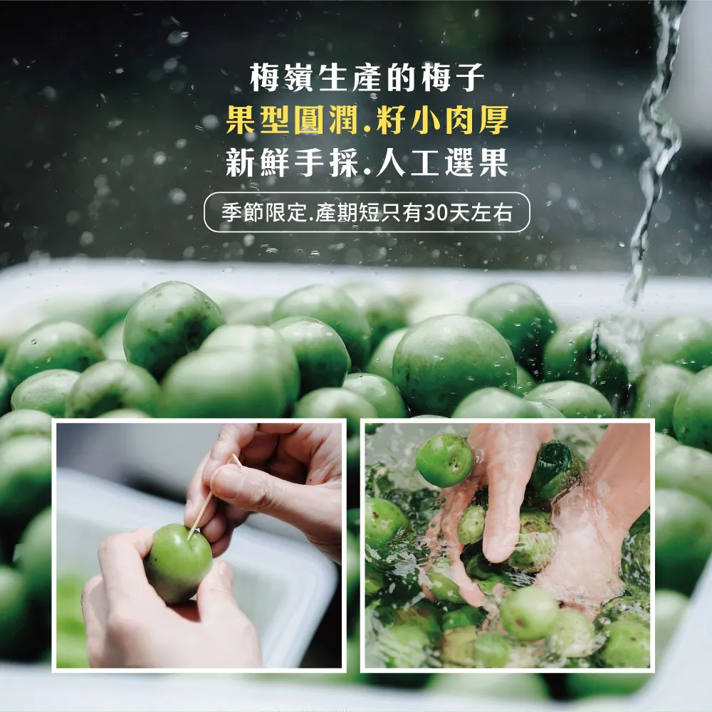 梅嶺生產的梅子果型圓潤籽小肉厚新鮮手採.人工選果季節限定.產期短只有30天左右