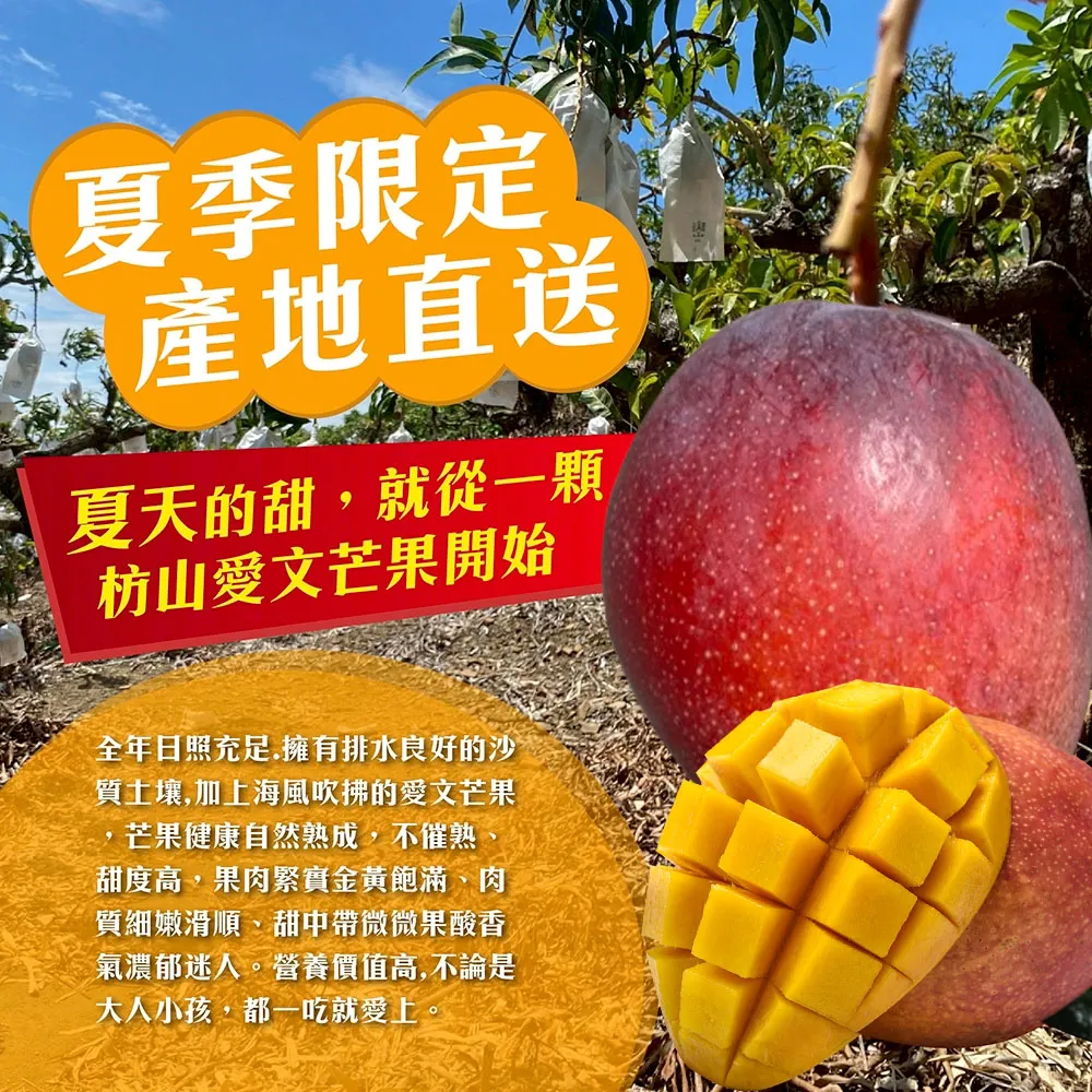 夏季限定本產地直送夏天的甜,就從一顆枋山愛文芒果開始全年日照充足.擁有排水良好的沙質土壤,加上海風吹拂的愛文芒果芒果健康自然熟成,不催熟甜度高,果肉緊實金黃飽滿肉質細嫩滑順甜中帶微微果酸香氣濃郁迷人。營養價值高,不論是大人小孩,都一吃就愛上
