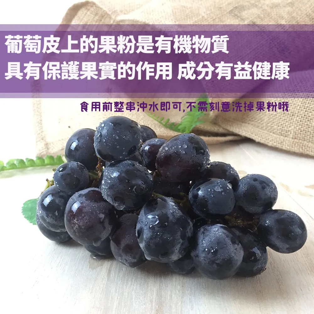 葡萄皮上的果粉是有機物質具有保護果實的作用 成分有益健康食用前整串沖水即可,不需刻意洗掉果粉哦