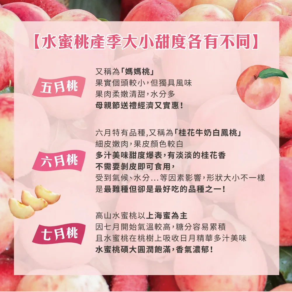【水蜜桃季大小甜度各有不同又稱為「媽媽桃五月桃果實個頭較小,但獨具風味果肉柔嫩清甜,水分多母親節送禮經濟又實惠!六月特有品種,又稱為「桂花牛奶白鳳桃細皮嫩肉,果皮顏色較白六月桃多汁美味甜度爆表,有淡淡的桂花香不需要剝皮即可食用,受到氣候、水分...等因素影響,形狀大小不一樣是最難種但卻是最好吃的品種之一!高山水蜜桃以上海為主七月桃因七月開始氣溫較高,糖分容易累積且水蜜桃在桃樹上吸收日月精華多汁美味水蜜桃碩大圓潤飽滿,香氣濃郁!