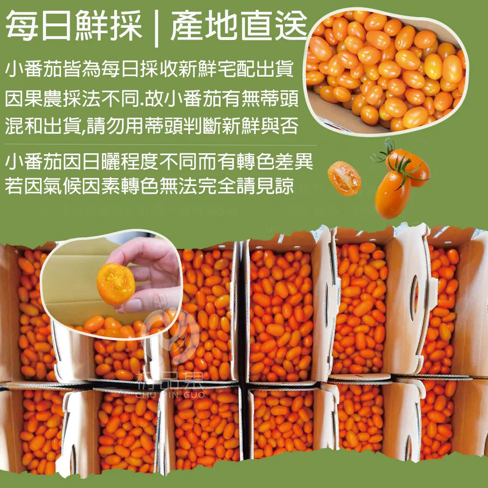每日鮮 直送小番茄皆為每日採收新鮮宅配出貨因果農採法不同.故小番茄有無蒂頭混和出貨,請勿用蒂頭判斷新鮮與否小番茄因日曬程度不同而有轉色差異若因氣候因素轉色無法完全請見諒IN GUO