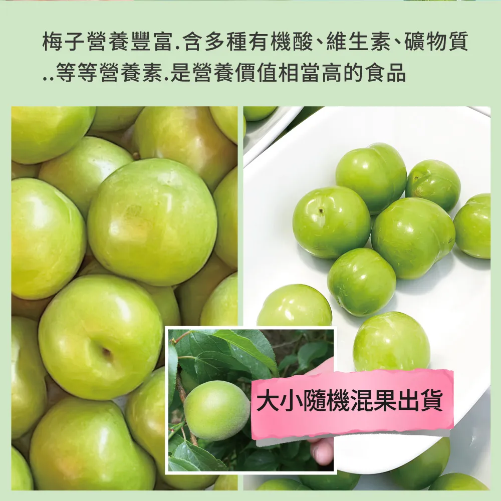 梅子營養豐富.含多種有機酸、維生素、礦物質..等等營養素.是營養價值相當高的食品大小隨機混果出貨