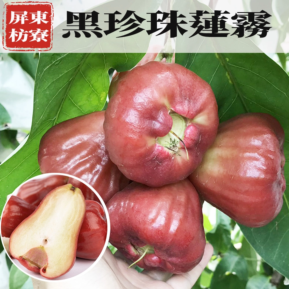 屏東枋寮黑珍珠蓮霧禮盒 3斤/4斤