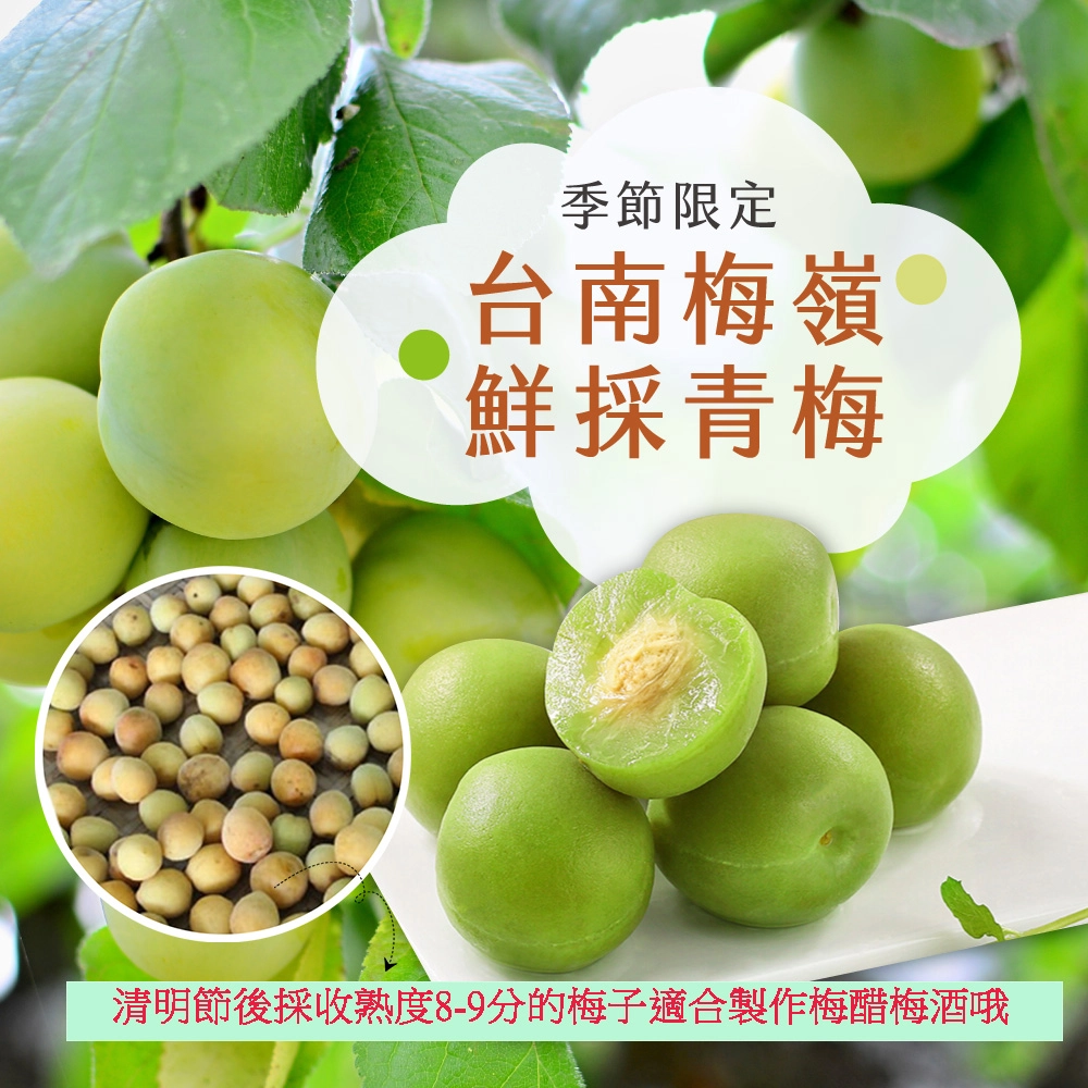 台南梅嶺鮮採青梅/黃梅 10斤/20斤 (依現況採收/冷藏配送)