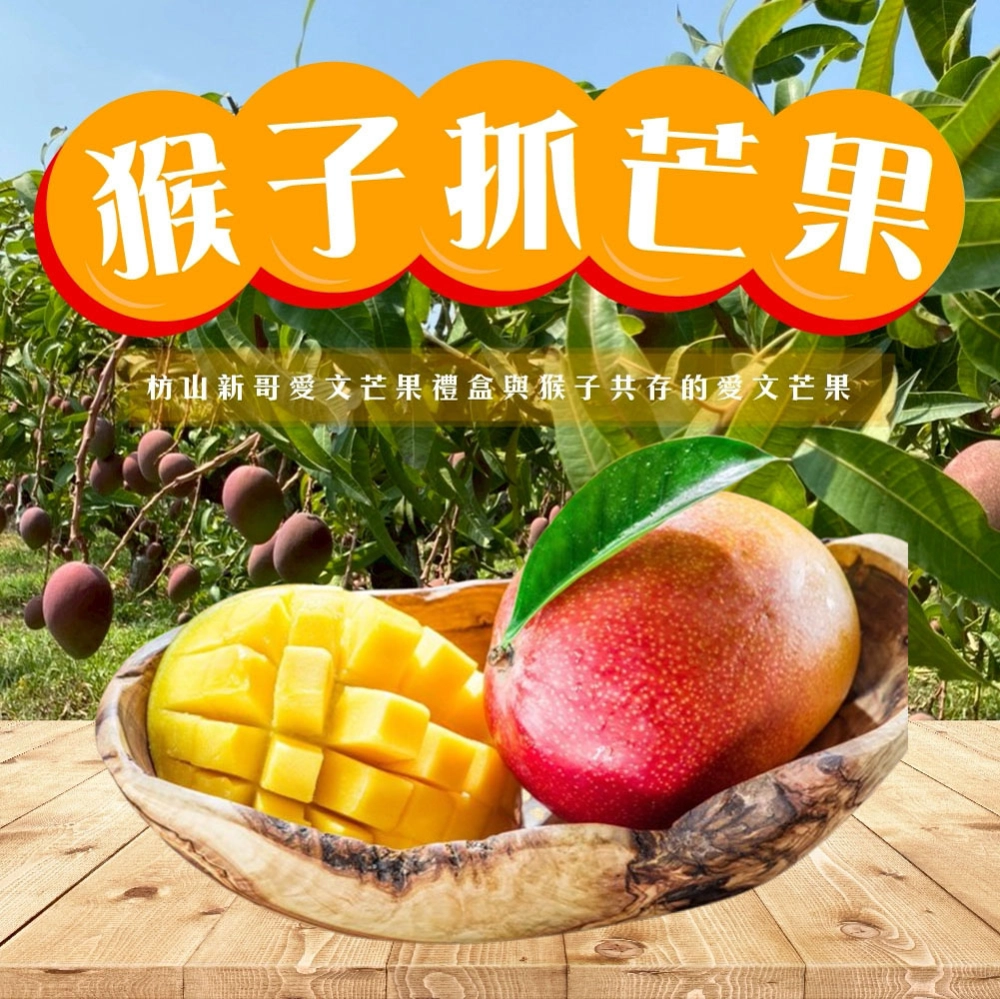 與獼猴和平共存的芒果