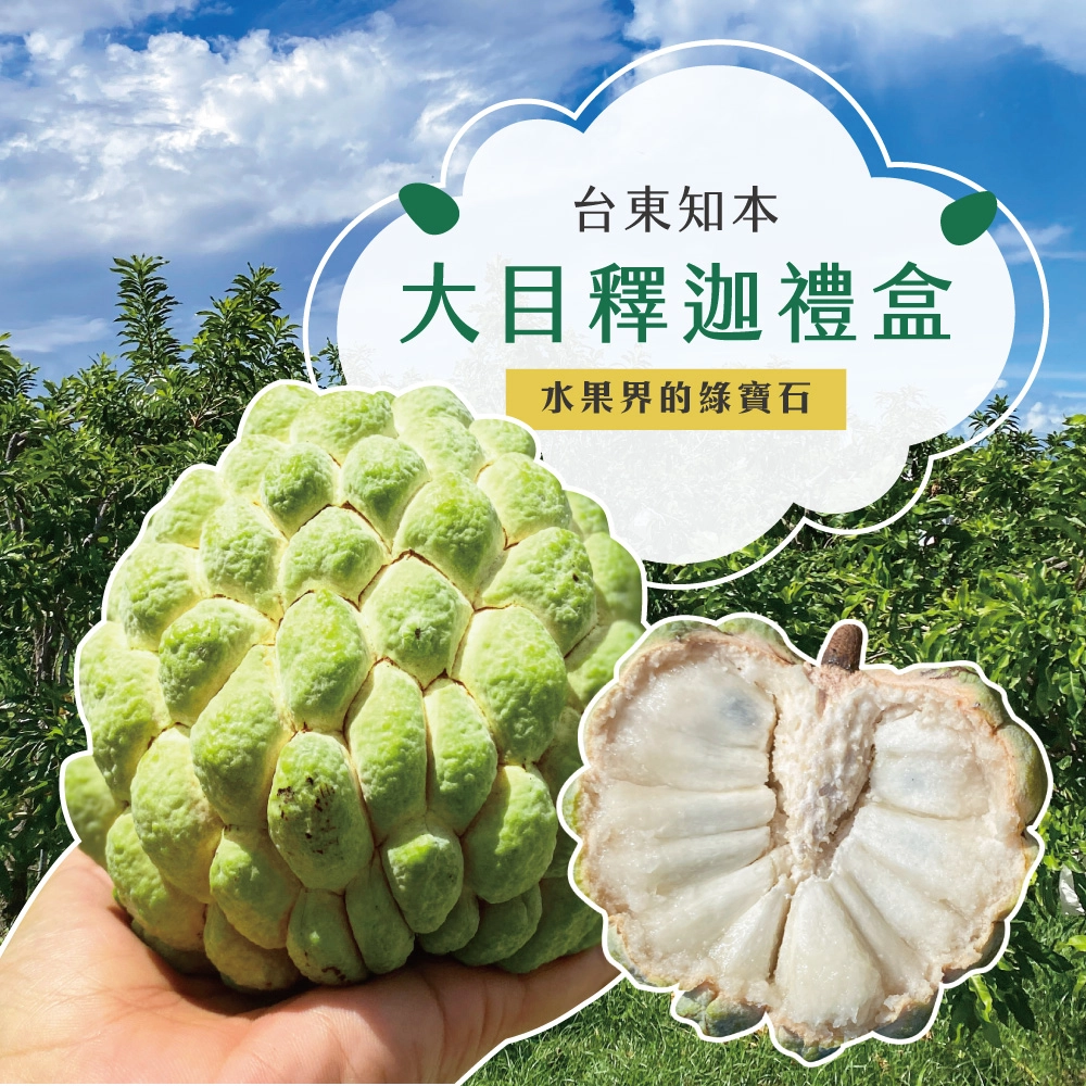 產地直送台東知本大目釋迦禮盒 5斤/10斤 