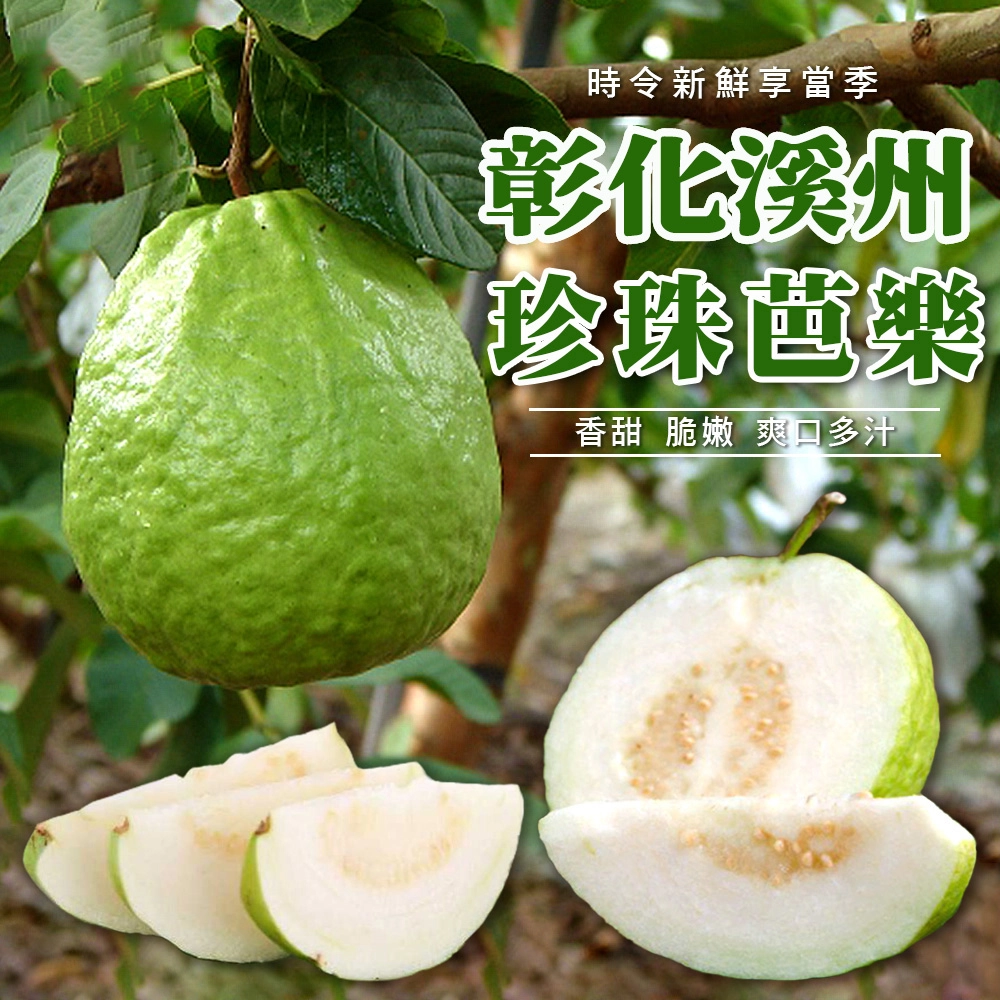 彰化溪州珍珠芭樂禮盒