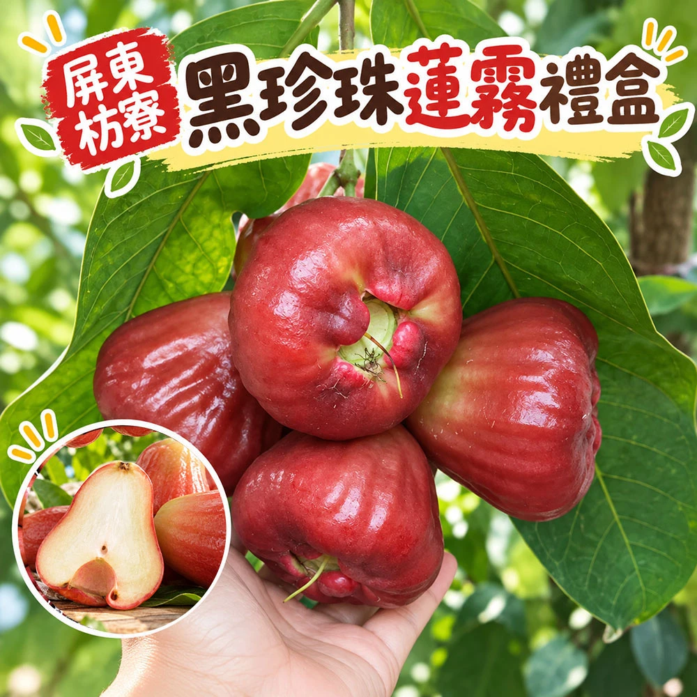 屏東枋寮黑珍珠蓮霧禮