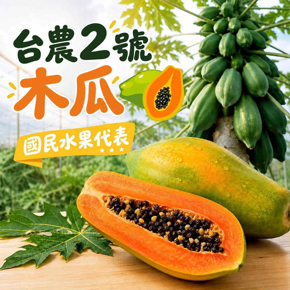 國民水果 台農2號木