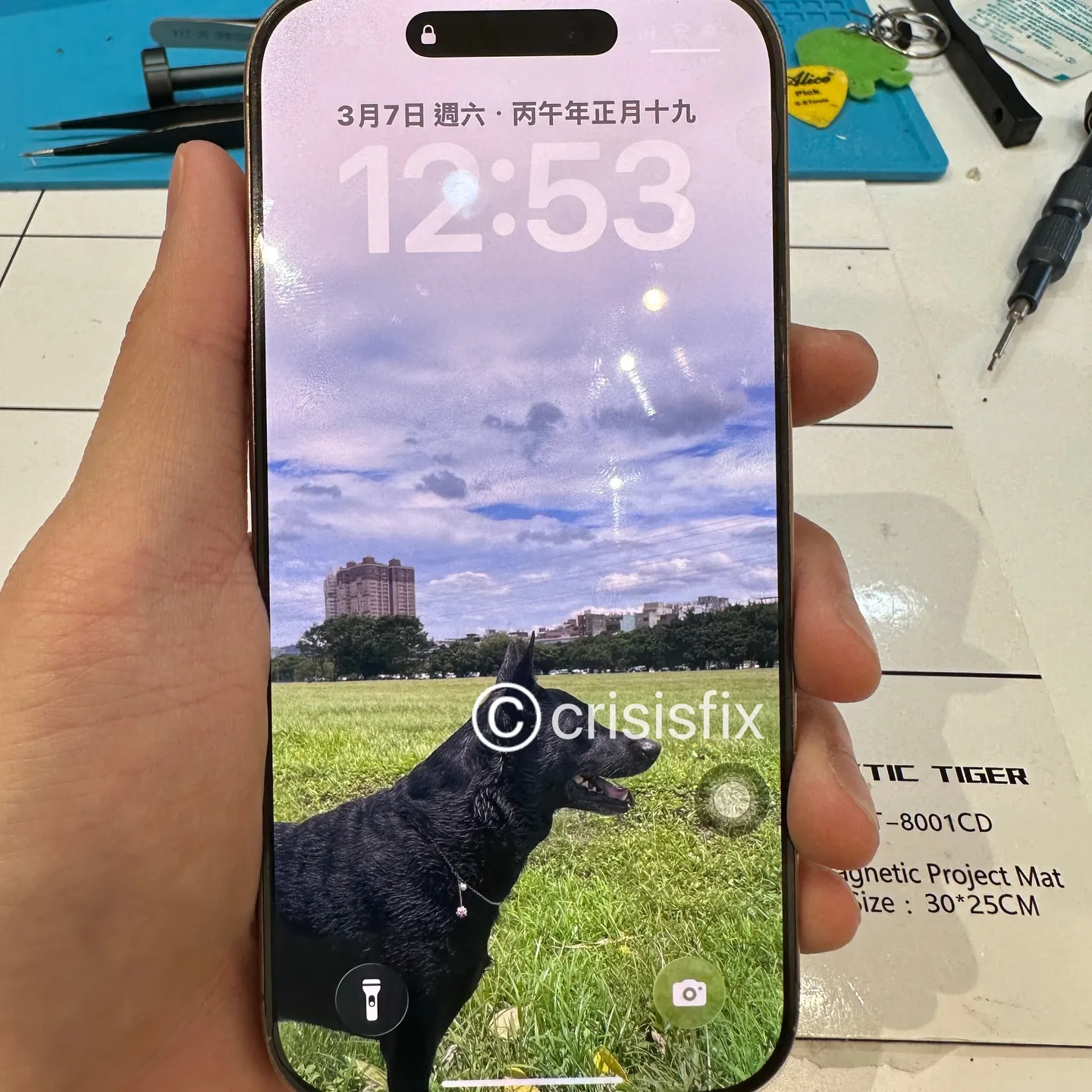 iPhone 16 Pro 螢幕碎裂｜台北iPhone換螢幕