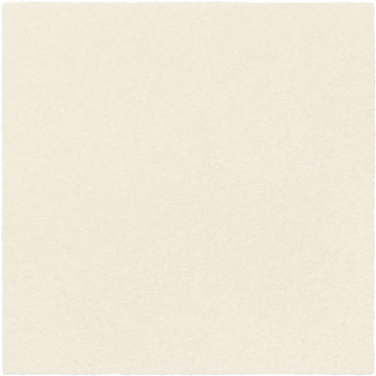 日本 TOLI 寵物防滑地墊｜AK270 短絨抗污系列