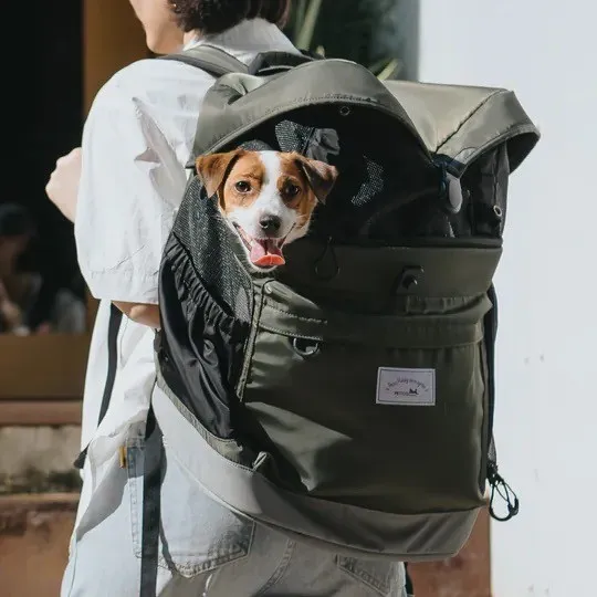 PETiCO hug 抱抱後背包